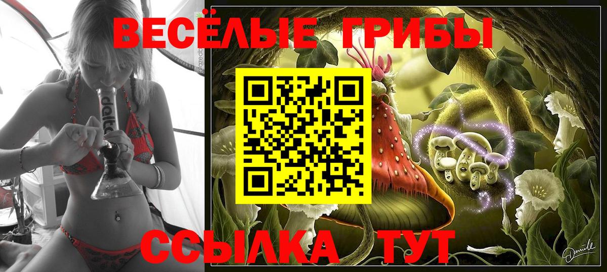Галлюциногенные грибы мухоморы Стрежевой