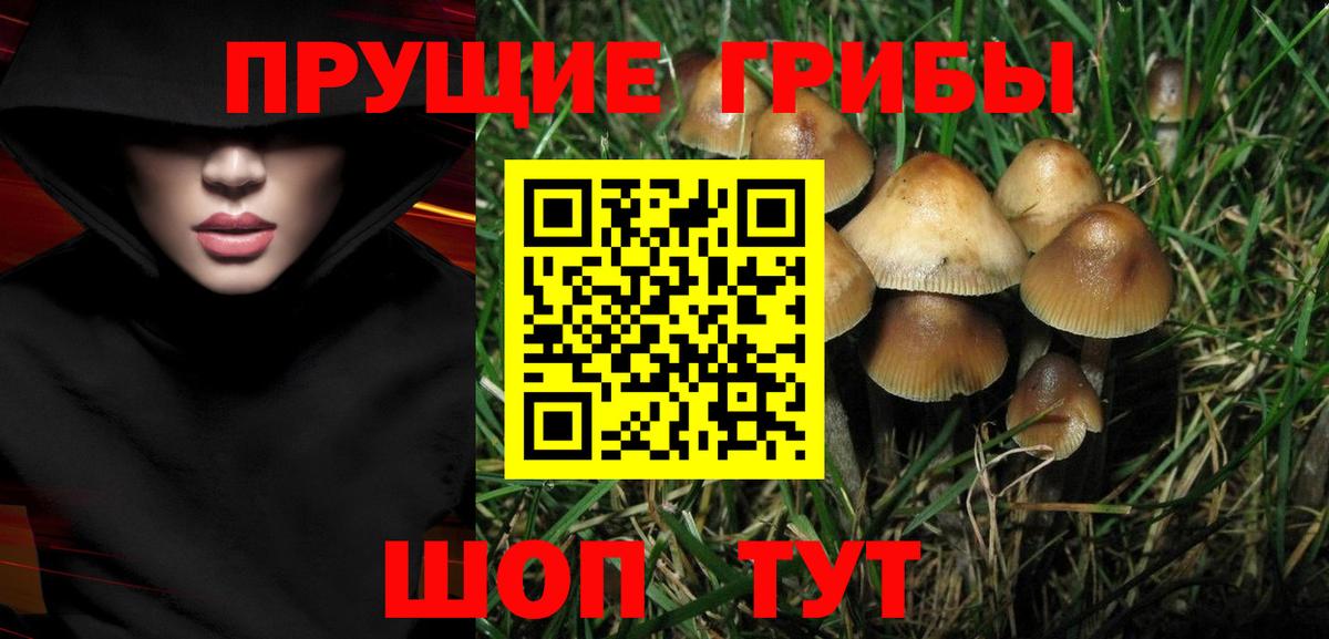 Галлюциногенные грибы прущие грибы  Вход с VPN  Стрежевой 